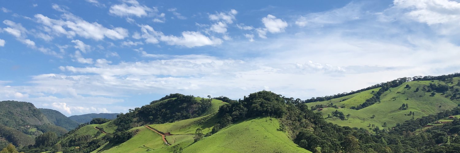 Gabriela Fonseca banner