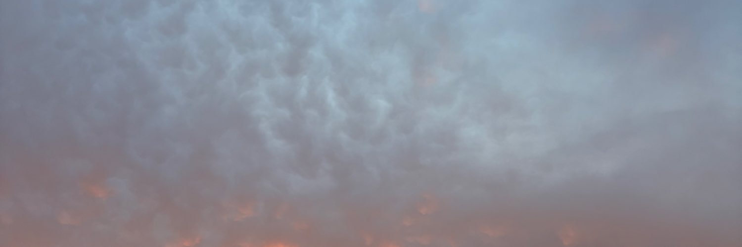 🎞️scorsese baby daddy🎞️ banner