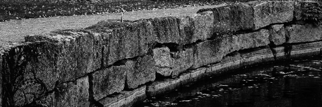 jarip462's profile banner image