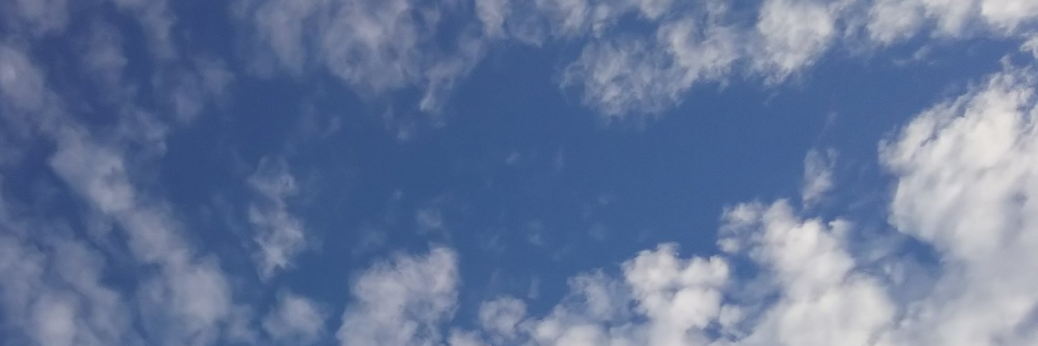 pinga banner