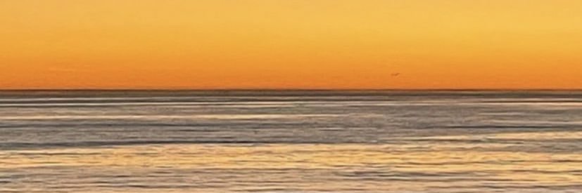 malaaganora's profile banner image