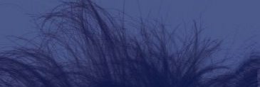sensitiv's profile banner image