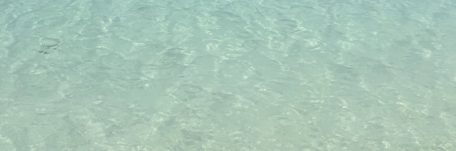 randiliz's profile banner image