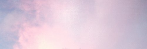 nicole_katris's profile banner image