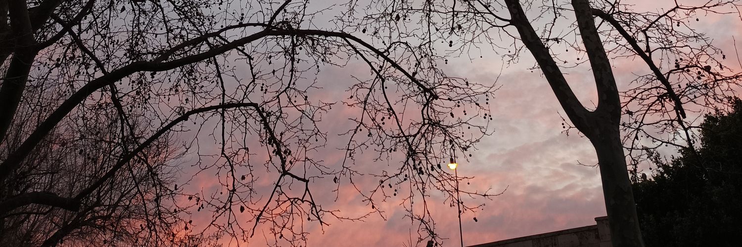 patrilg8's profile banner image