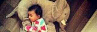 nahla1563's profile banner image