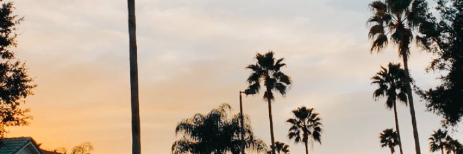 celiabalch's profile banner image