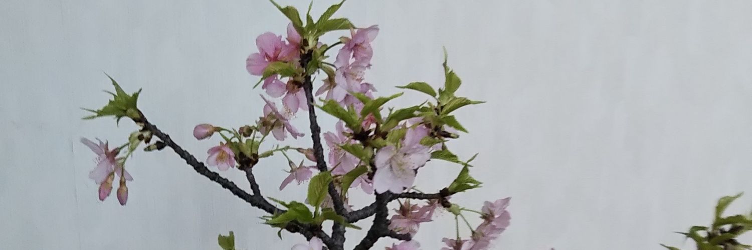 ttakatter's profile banner image