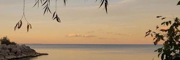 maximillienee's profile banner image