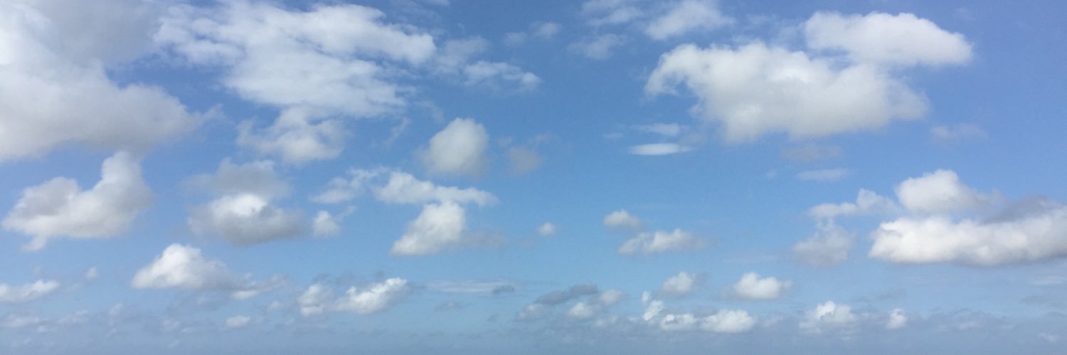 ElifEsraSenel's profile banner image