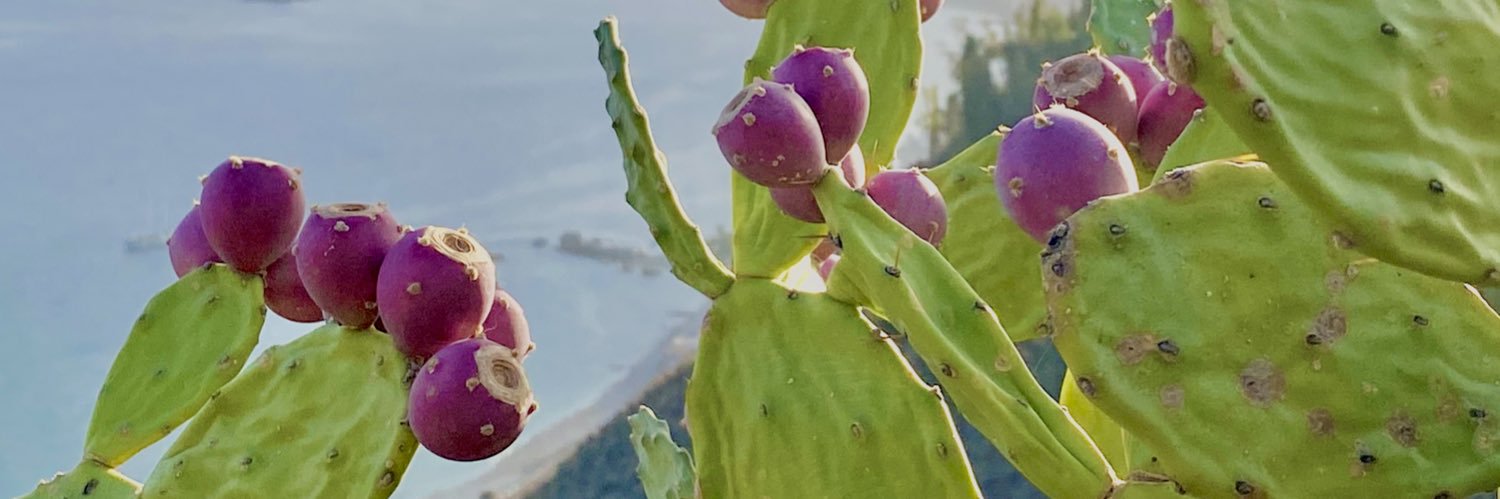 hidrosfera's profile banner image