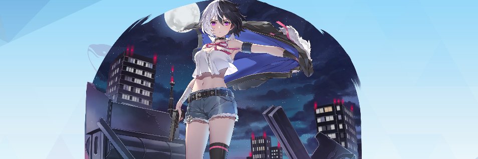 Novice banner