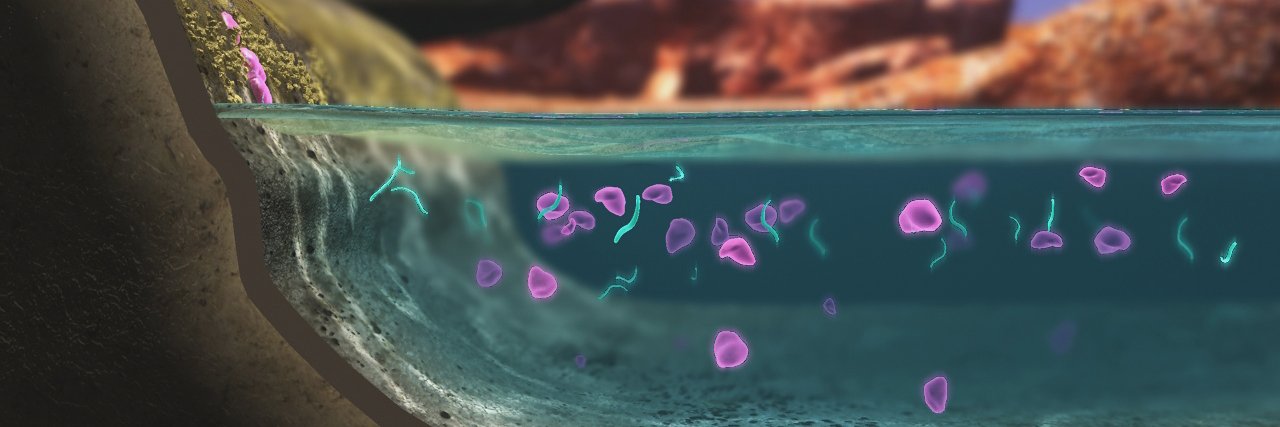 Dr. Bruce Damer banner