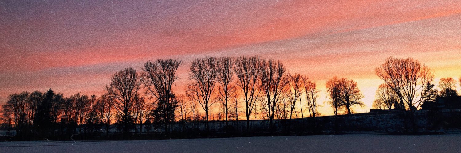 AlenaVave's profile banner image