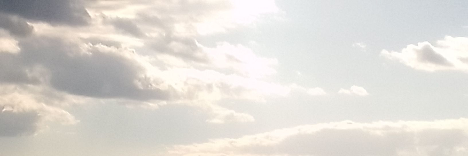 Ronnie MacDonald banner