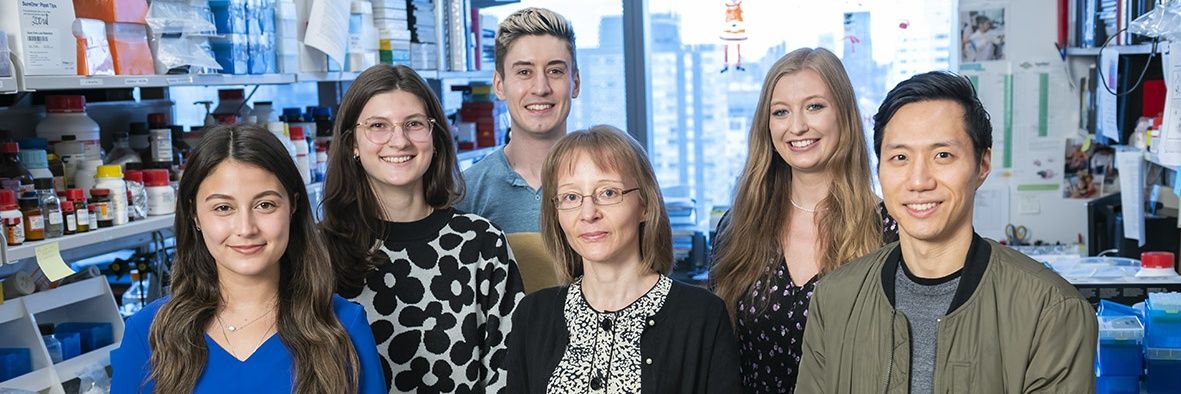 Simone Krebs Laboratory banner