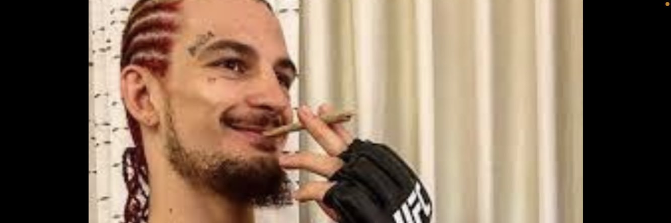 SugaSeanStan1's profile banner image