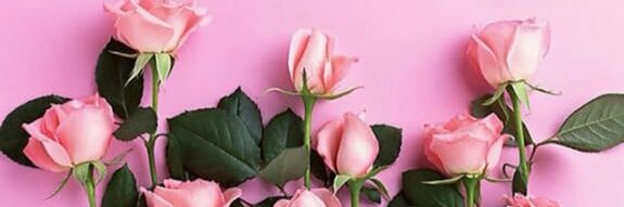 Dyoooh's profile banner image