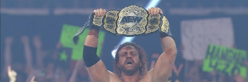 Brianna Sabor banner