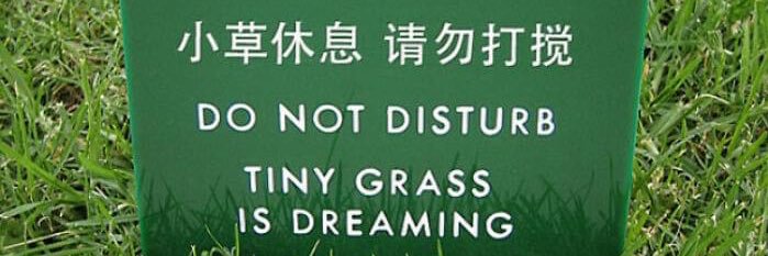 Happy Little Accident banner