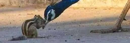 Manisha Swarnkar banner