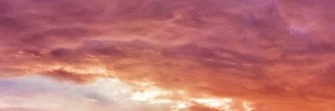 arlyn's profile banner image