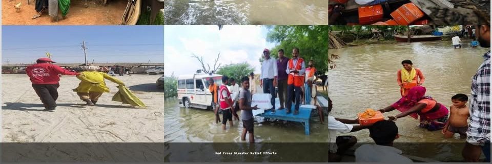Indian Red Cross Society Uttar Pradesh Branch banner