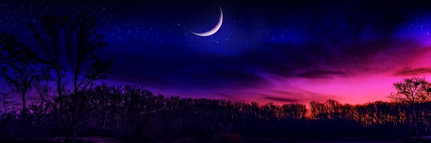 NaemnikDub's profile banner image