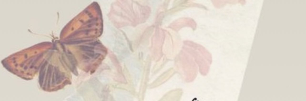 n___ool's profile banner image