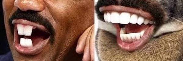 MyLifeMyMeme Profile Banner