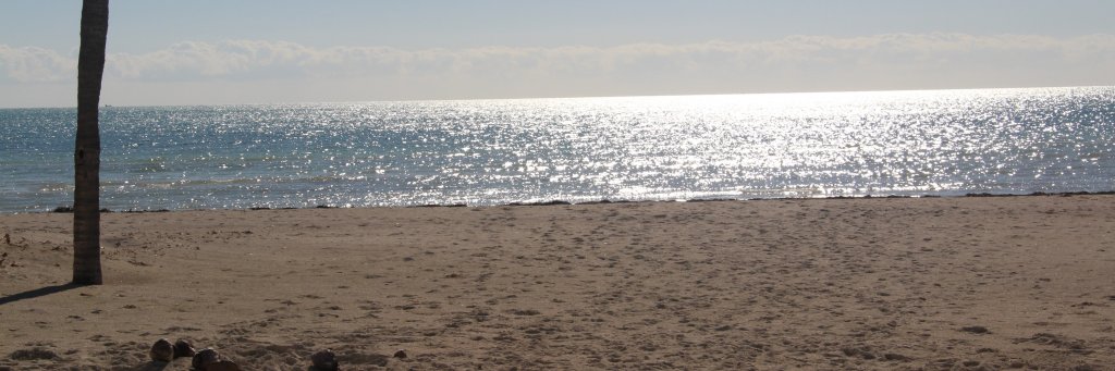 Greg Page banner