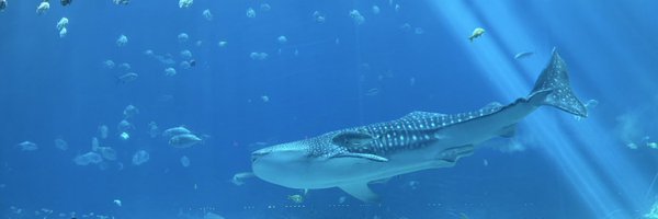 haadarifmd Profile Banner