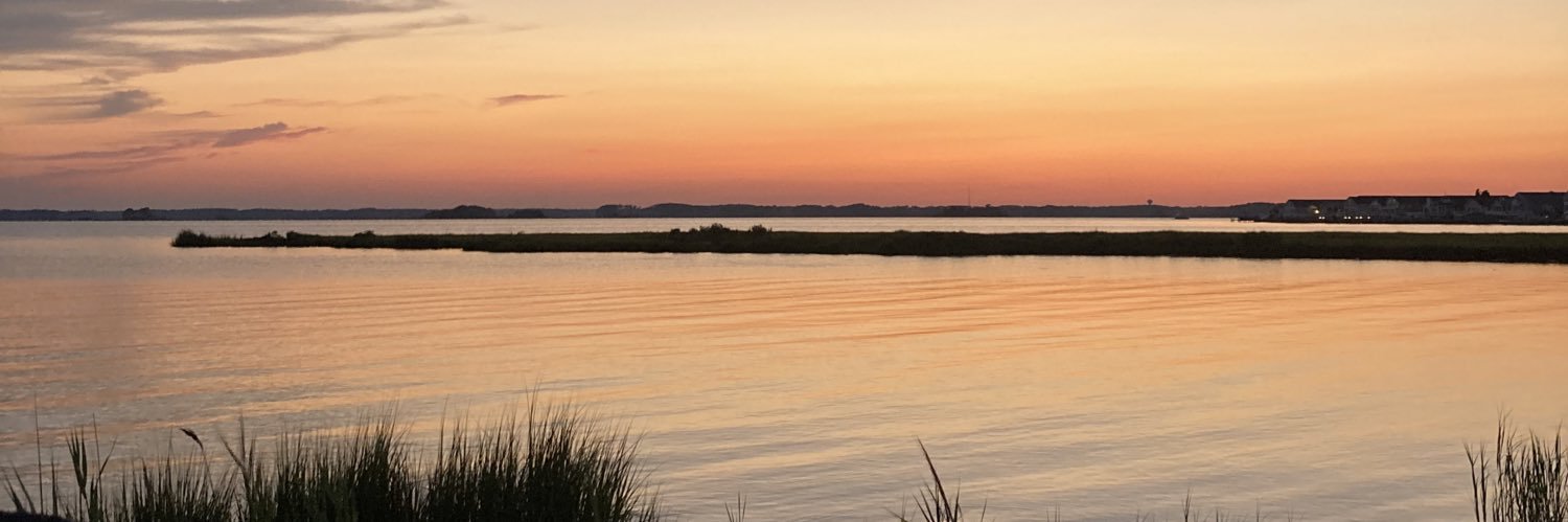 smlynn4's profile banner image