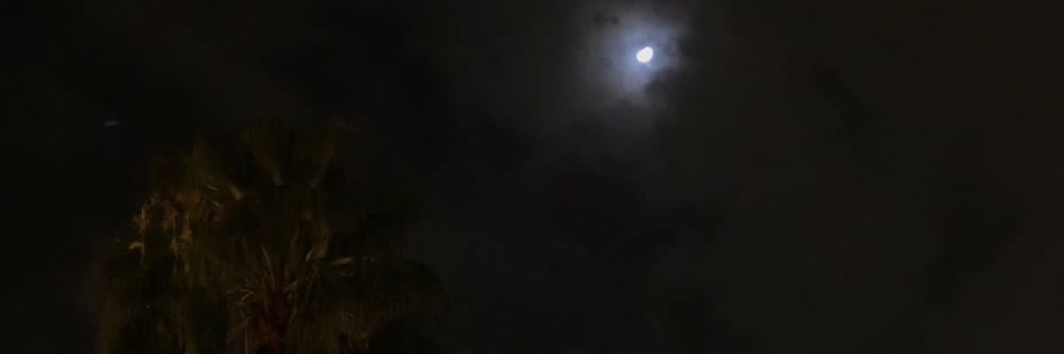 taaala3's profile banner image