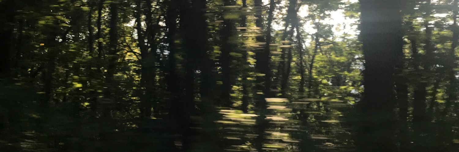 hunteralex99's profile banner image