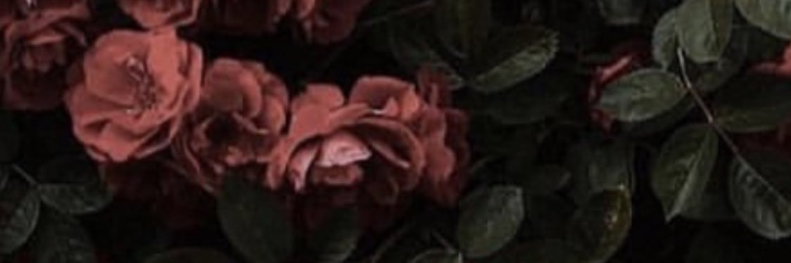 MissMikaylaaa's profile banner image