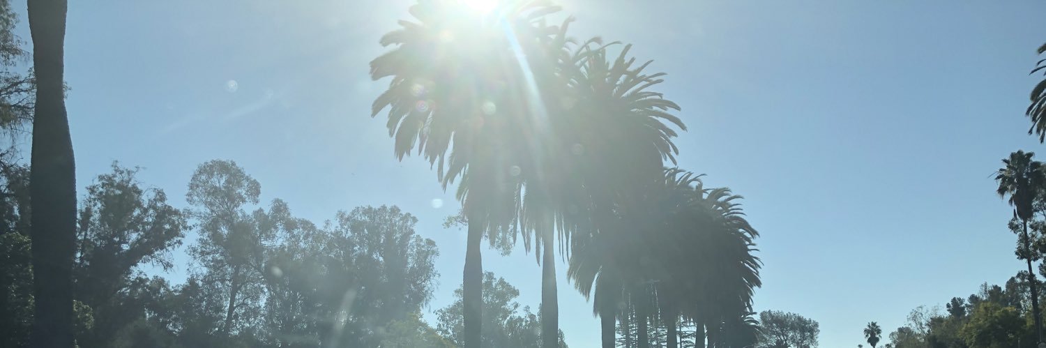 carmaldrop's profile banner image