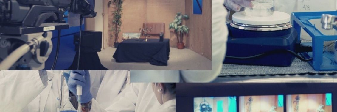 IESSIGLO21's profile banner image