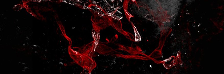 Eva Maria Funk banner