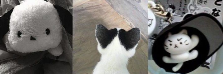 jakeoppas's profile banner image