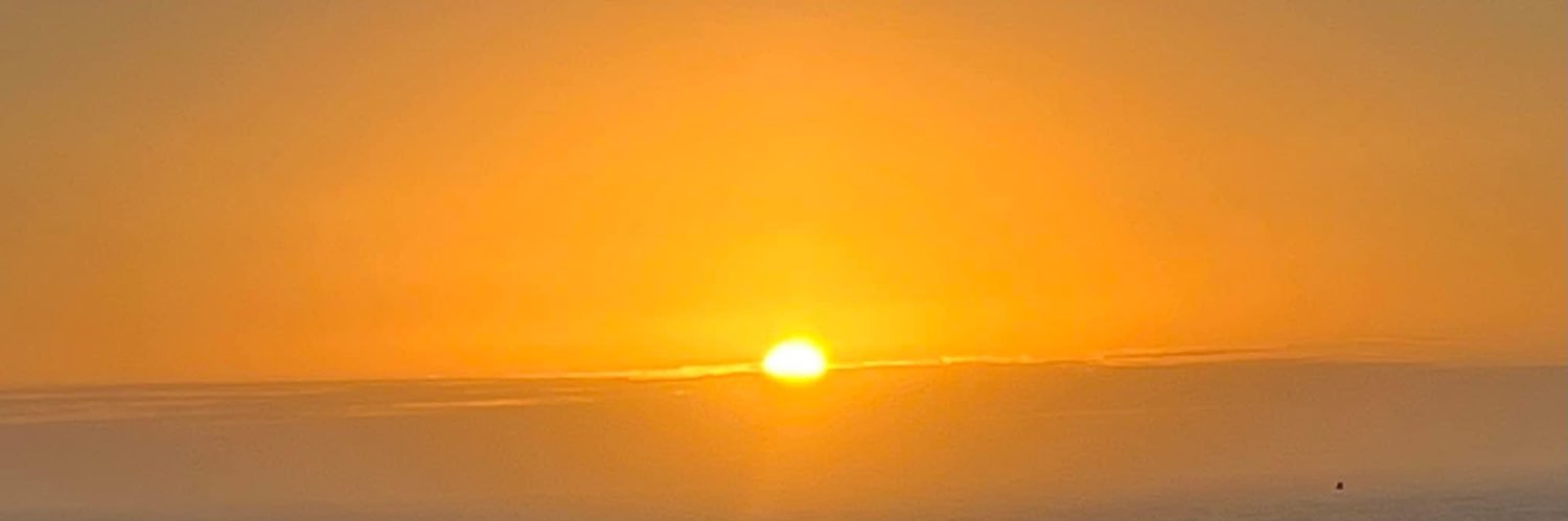 Nicholas Manchester III banner