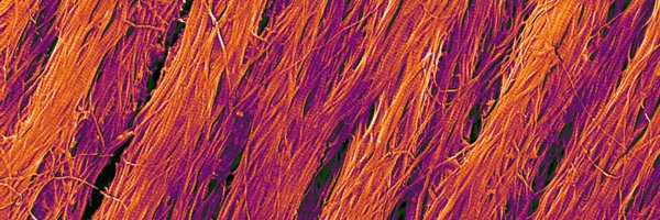 LabPalmquist Profile Banner