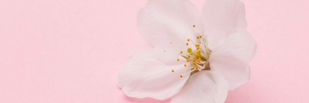 sugawaka's profile banner image