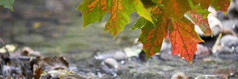 Environment Agency Chief Scientist's banner