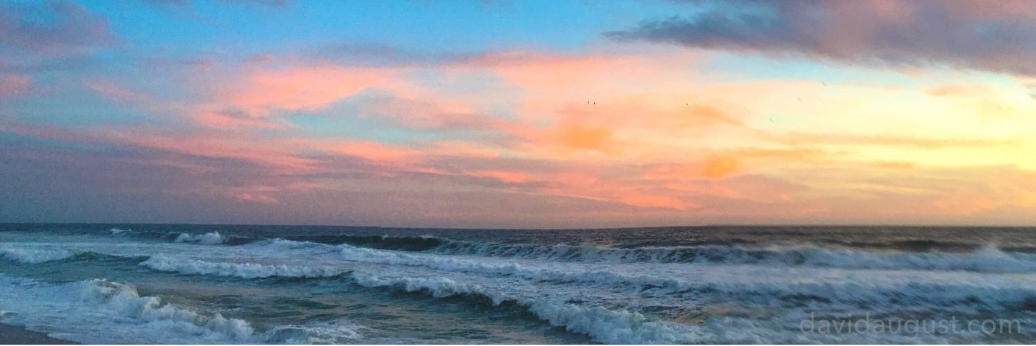 David August 🌻 banner