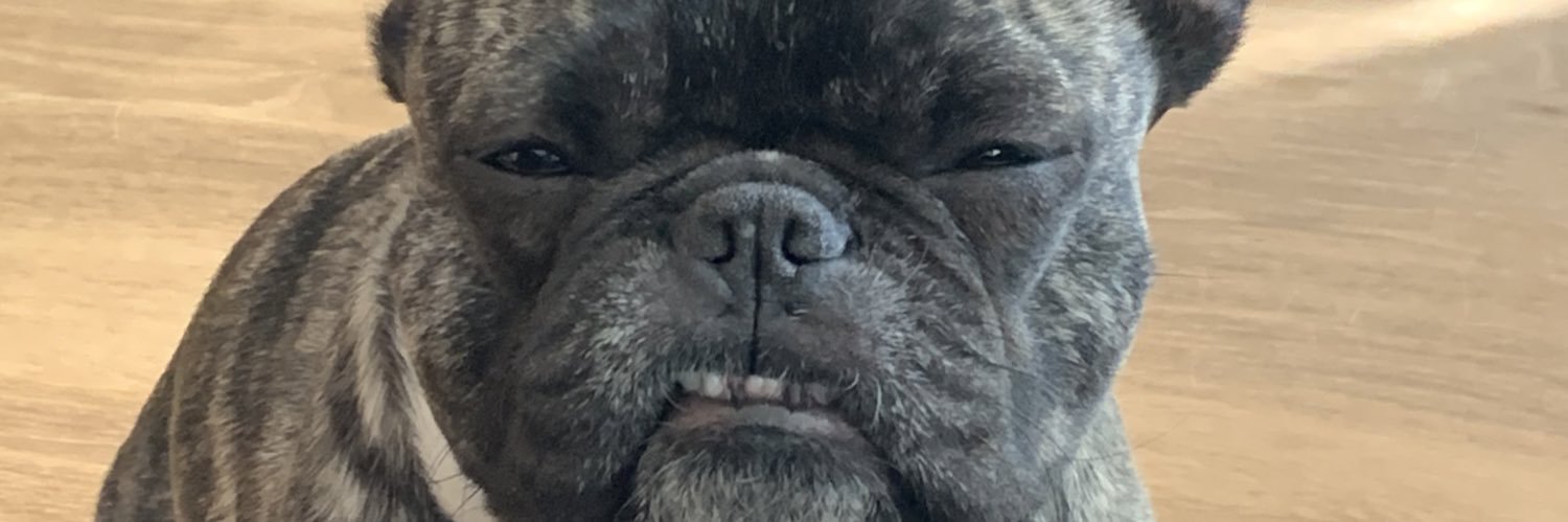 SirTeeeeeJ's profile banner image
