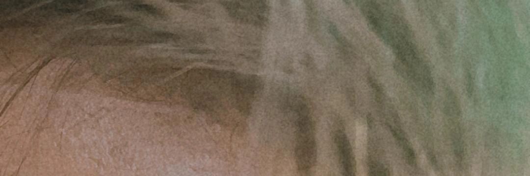 ketpartum1997's profile banner image