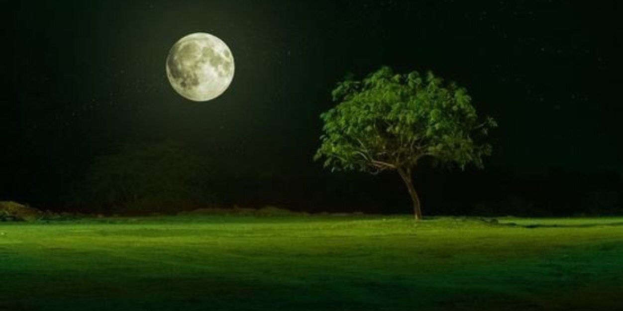 erniebuen's profile banner image