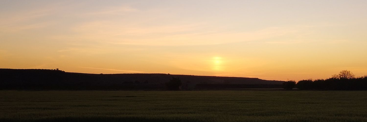 elsaacs30's profile banner image