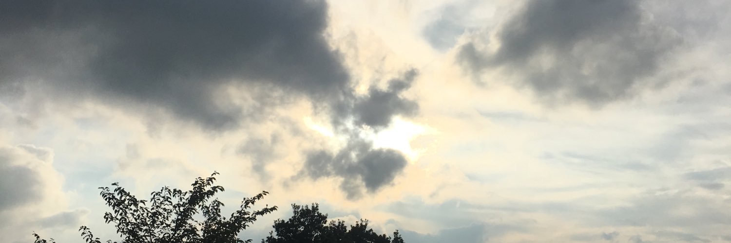 Satoshi1329's profile banner image